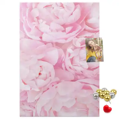 Tableau affichage liège Fleurs d'été