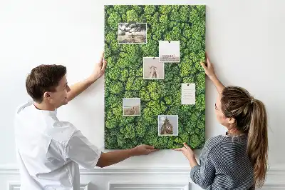Image tableau en liège Nature forestière de l'arbre