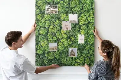 Image tableau en liège Nature forestière de l'arbre