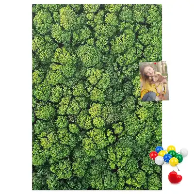 Image tableau en liège Nature forestière de l'arbre