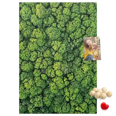 Image tableau en liège Nature forestière de l'arbre