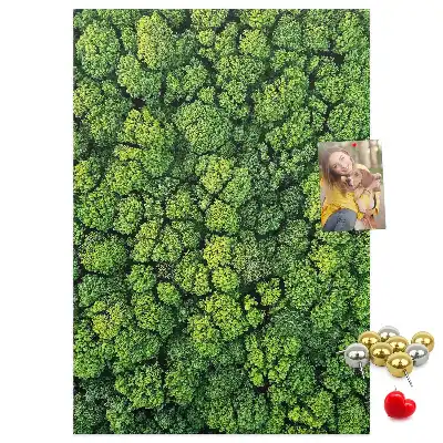 Image tableau en liège Nature forestière de l'arbre