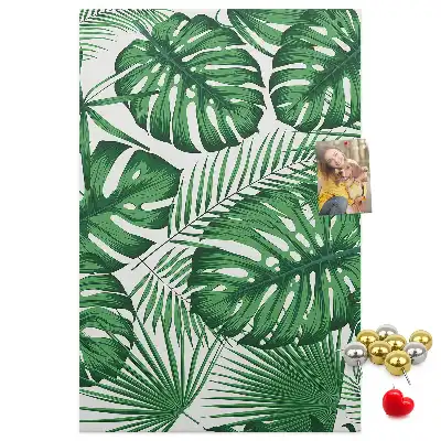 Image tableau en liège Feuilles vertes de monstera