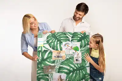 Image tableau en liège Feuilles vertes de monstera