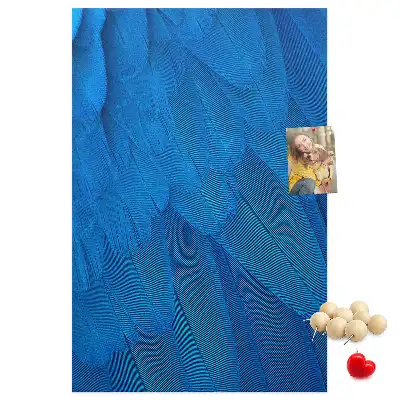 Tableau affichage liège Plumes de perroquet
