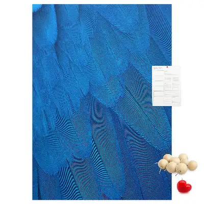 Tableau affichage liège Plumes de perroquet
