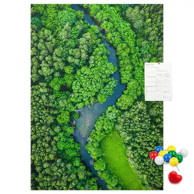 Image tableau en liège Ruisseau forestier
