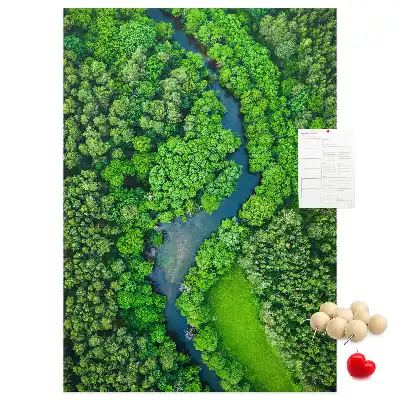 Image tableau en liège Ruisseau forestier