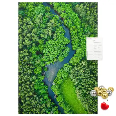 Image tableau en liège Ruisseau forestier