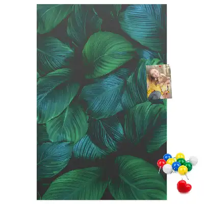 Image tableau en liège Grandes feuilles tropicales