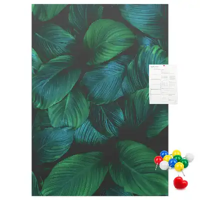 Image tableau en liège Grandes feuilles tropicales