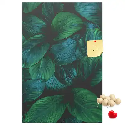 Image tableau en liège Grandes feuilles tropicales