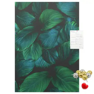 Image tableau en liège Grandes feuilles tropicales