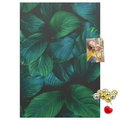 Image tableau en liège Grandes feuilles tropicales