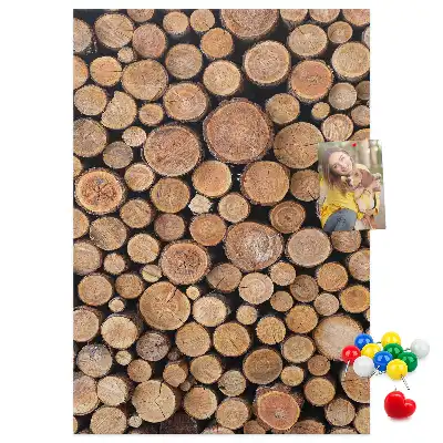 Tableau de liège décoratif Morceaux de réseaux de troncs