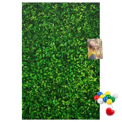 Tableau affichage liège Clôture en feuilles