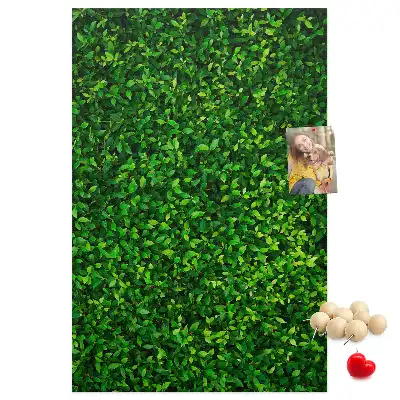Tableau affichage liège Clôture en feuilles