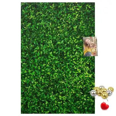 Tableau affichage liège Clôture en feuilles
