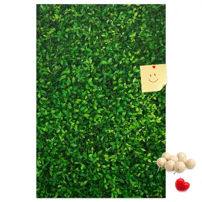 Tableau affichage liège Clôture en feuilles