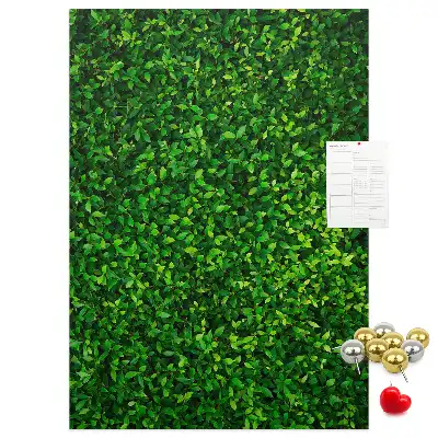 Tableau affichage liège Clôture en feuilles