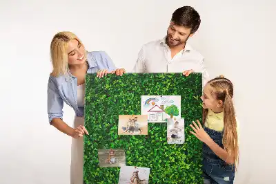 Tableau affichage liège Clôture en feuilles