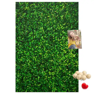 Tableau affichage liège Clôture en feuilles