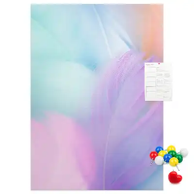 Tableau affichage liège Plumes pastel