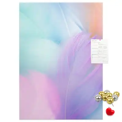 Tableau affichage liège Plumes pastel