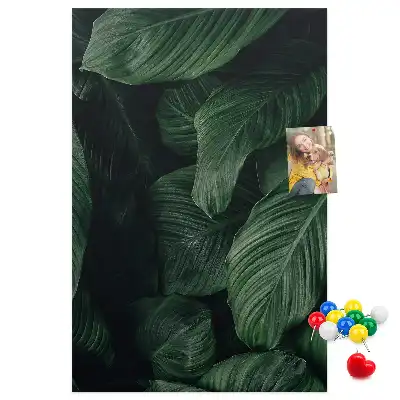 Image tableau en liège Feuilles de végétation de la jungle