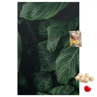 Image tableau en liège Feuilles de végétation de la jungle