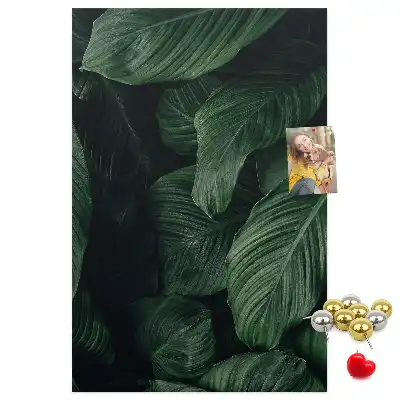 Image tableau en liège Feuilles de végétation de la jungle