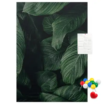 Image tableau en liège Feuilles de végétation de la jungle