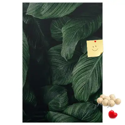 Image tableau en liège Feuilles de végétation de la jungle