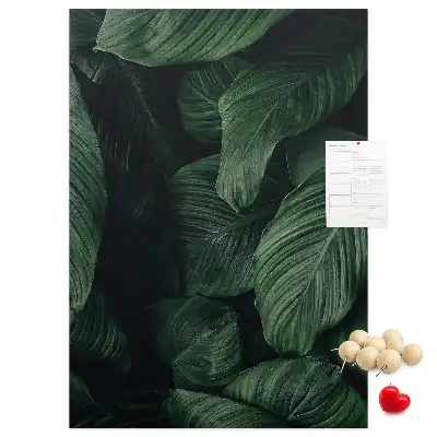 Image tableau en liège Feuilles de végétation de la jungle