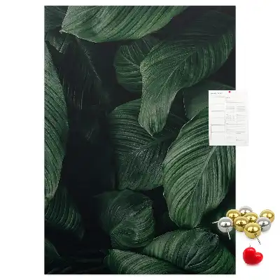 Image tableau en liège Feuilles de végétation de la jungle