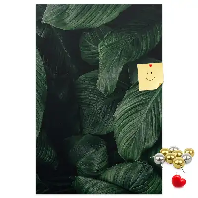 Image tableau en liège Feuilles de végétation de la jungle