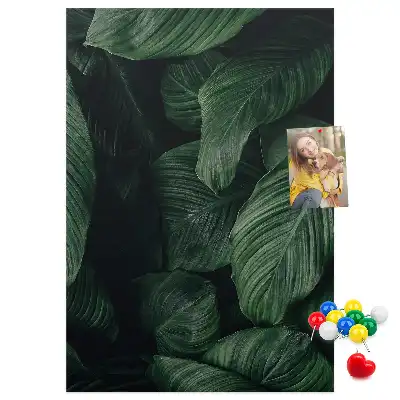 Image tableau en liège Feuilles de végétation de la jungle