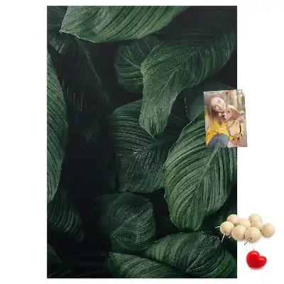 Image tableau en liège Feuilles de végétation de la jungle