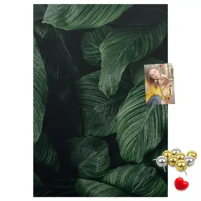 Image tableau en liège Feuilles de végétation de la jungle