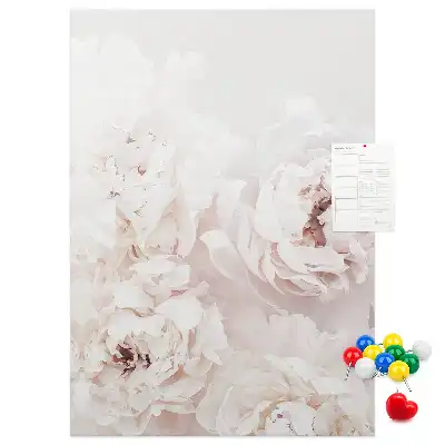 Image tableau en liège Fleurs de pivoine