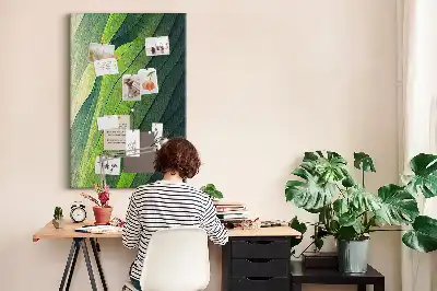 Tableau affichage liège Lignes du paysage naturel