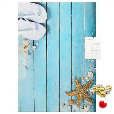 Tableau de liège décoratif Coquillages sur bois