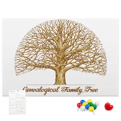 Tableau en liège déco Ancien arbre généalogique