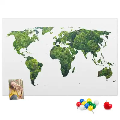 Tableau d’affichage en liège Carte forêt verte