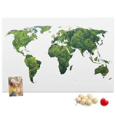 Tableau d’affichage en liège Carte forêt verte