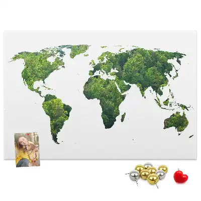 Tableau d’affichage en liège Carte forêt verte