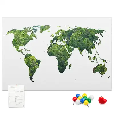 Tableau d’affichage en liège Carte forêt verte