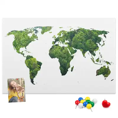 Tableau d’affichage en liège Carte forêt verte