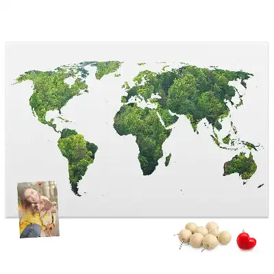 Tableau d’affichage en liège Carte forêt verte