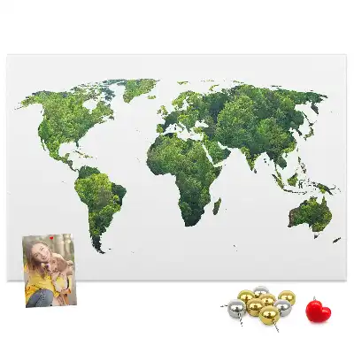 Tableau d’affichage en liège Carte forêt verte